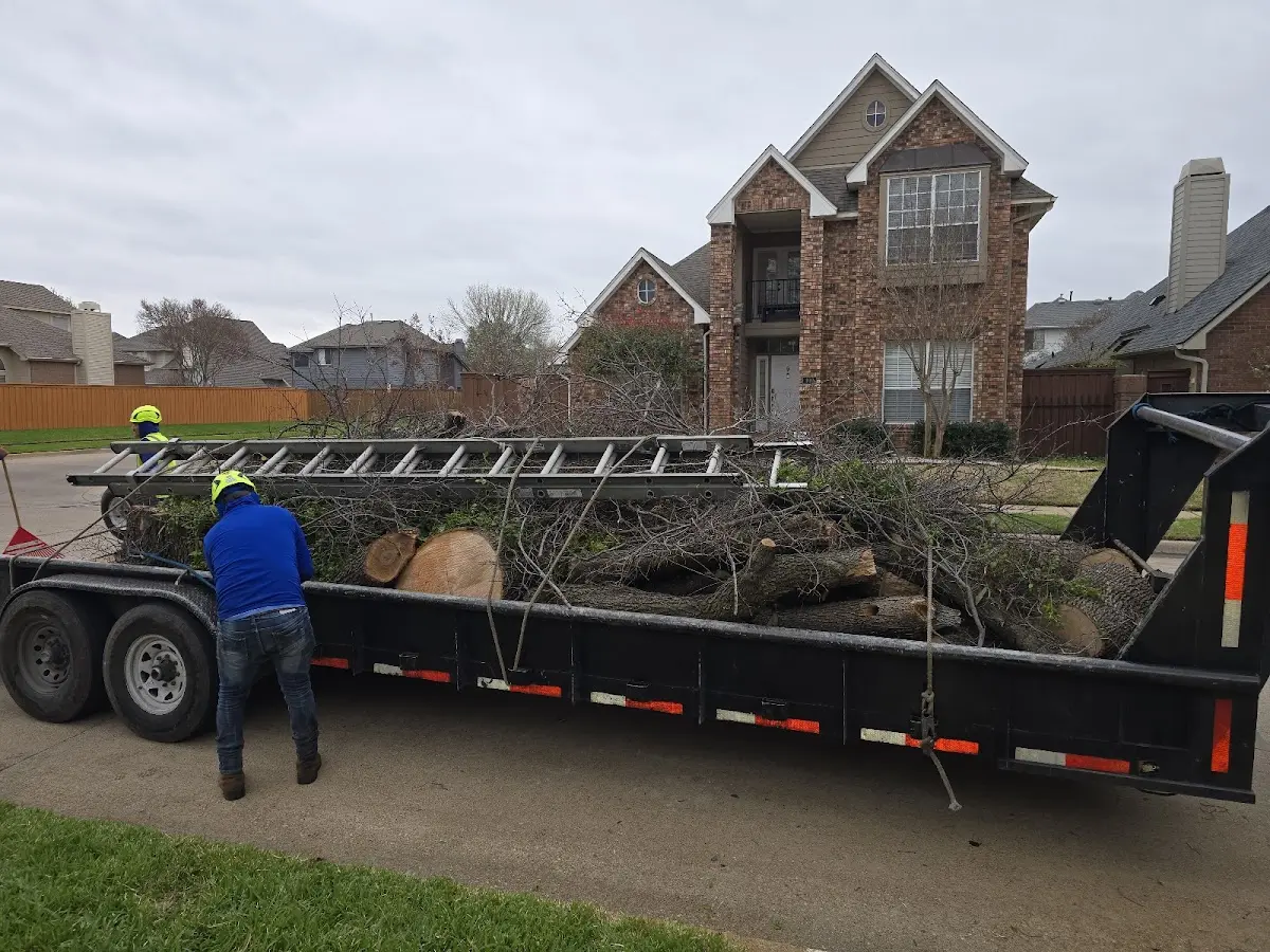 Expert Crown Reduction with proper safety equipment in Sand Springs
